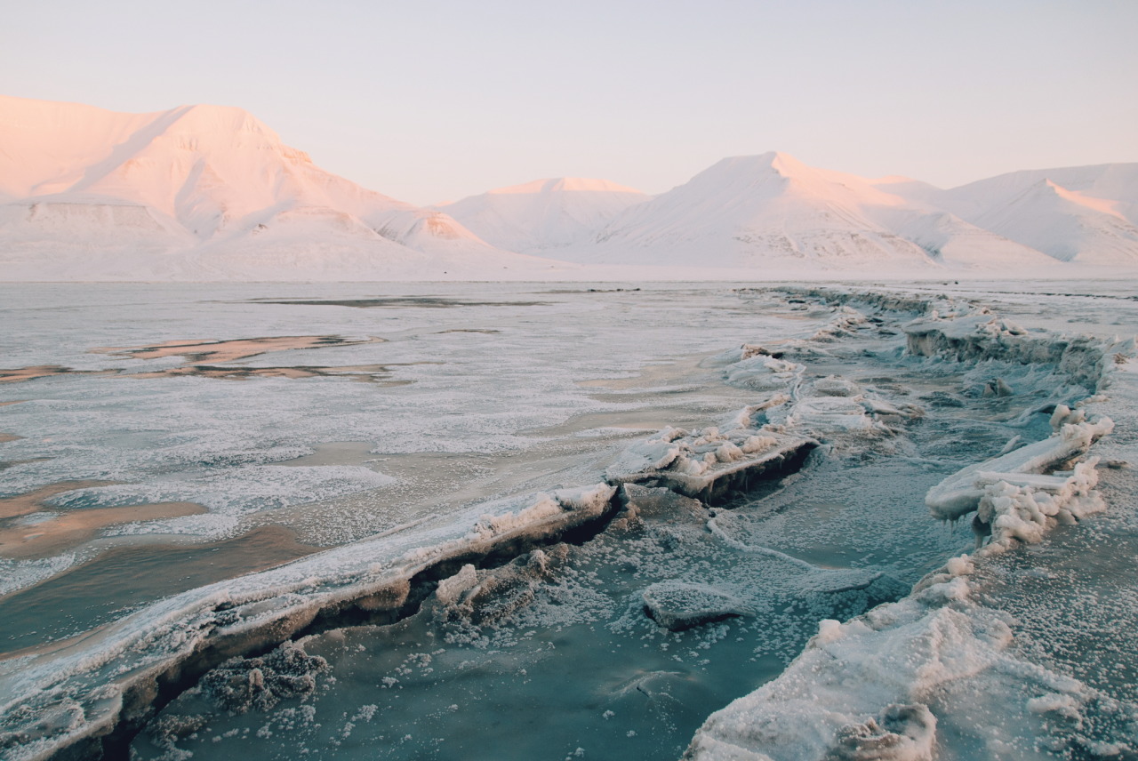 Archillect ID 375252