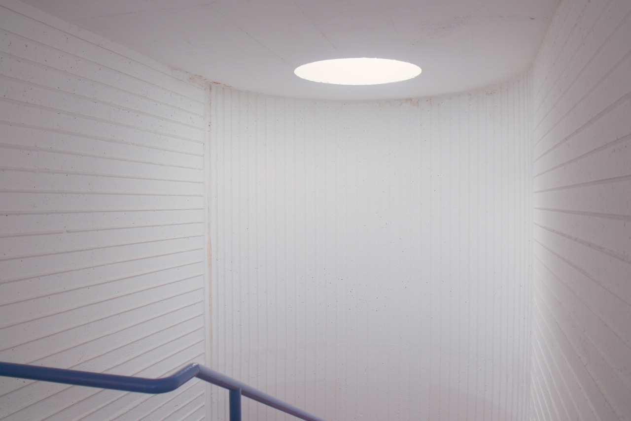 Archillect ID 375256