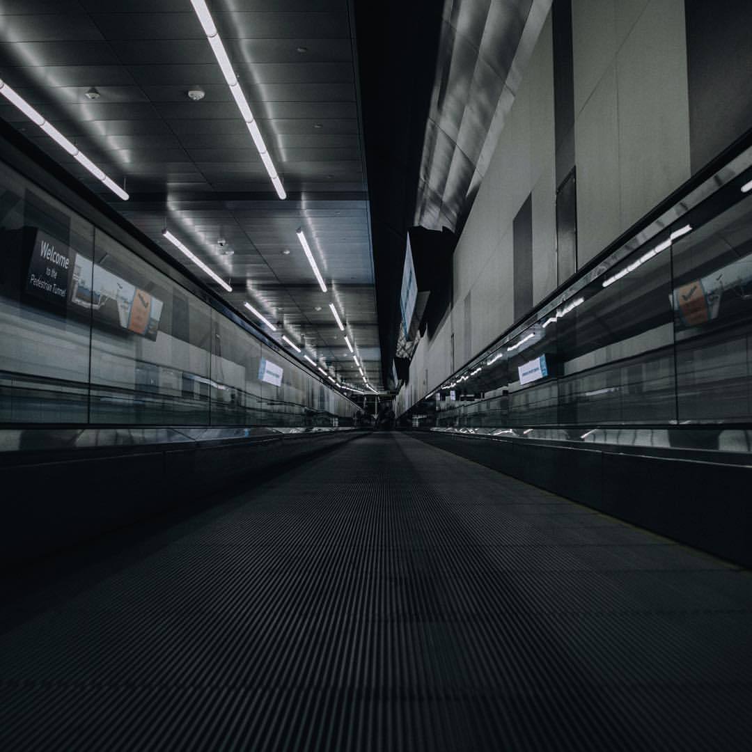 Archillect ID 375260