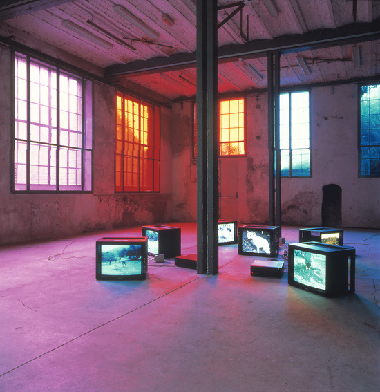 Archillect ID 375295