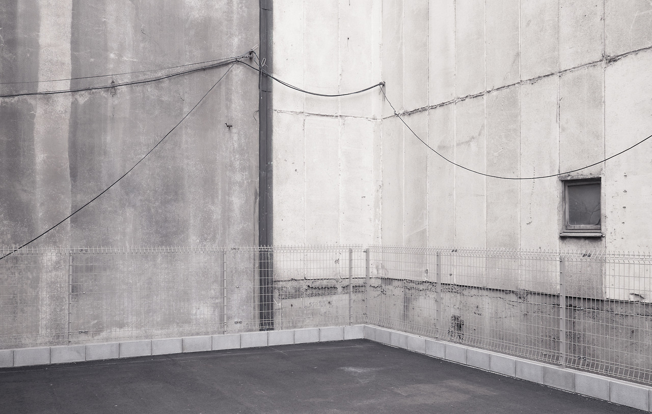 Archillect ID 375317