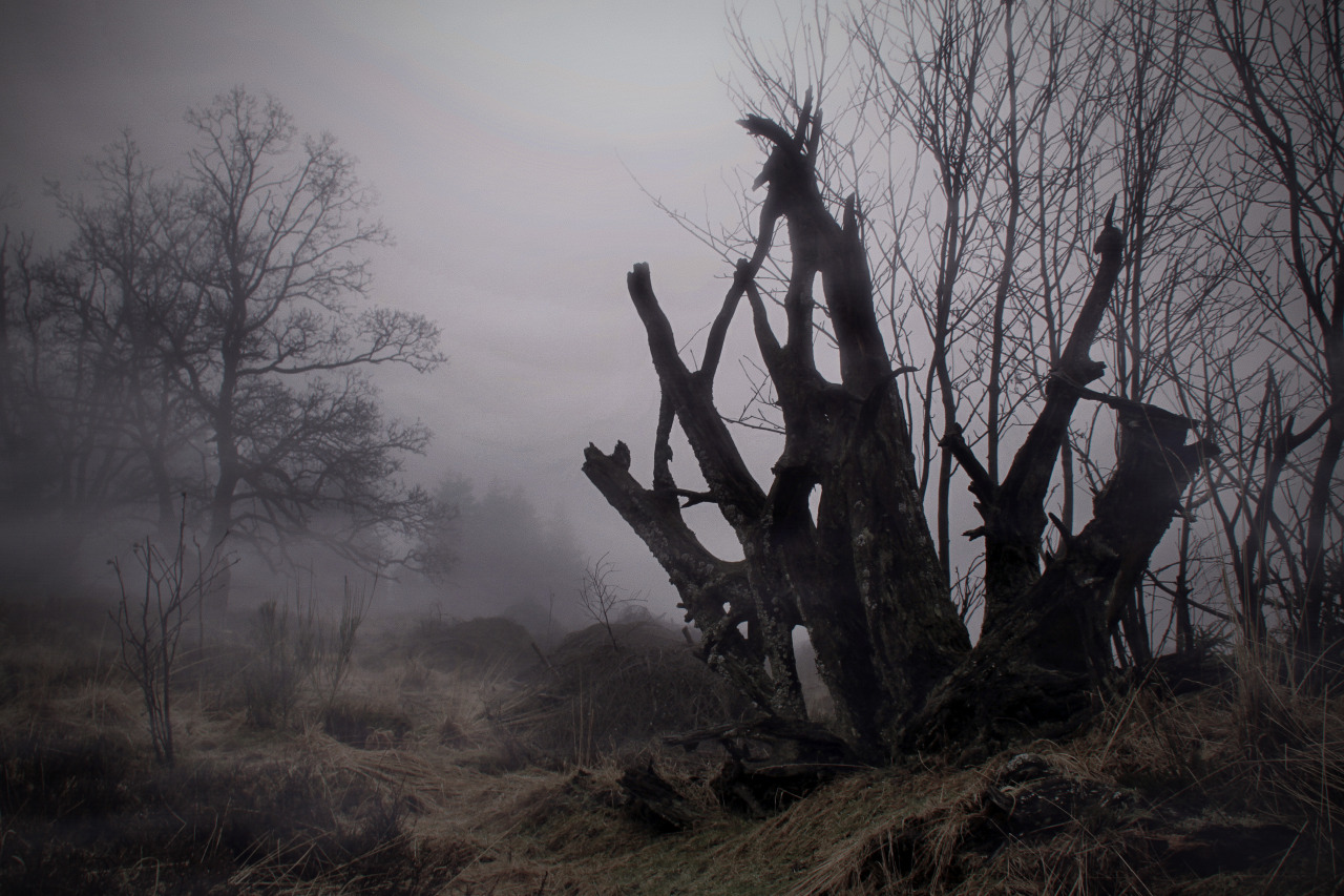 Archillect ID 375320