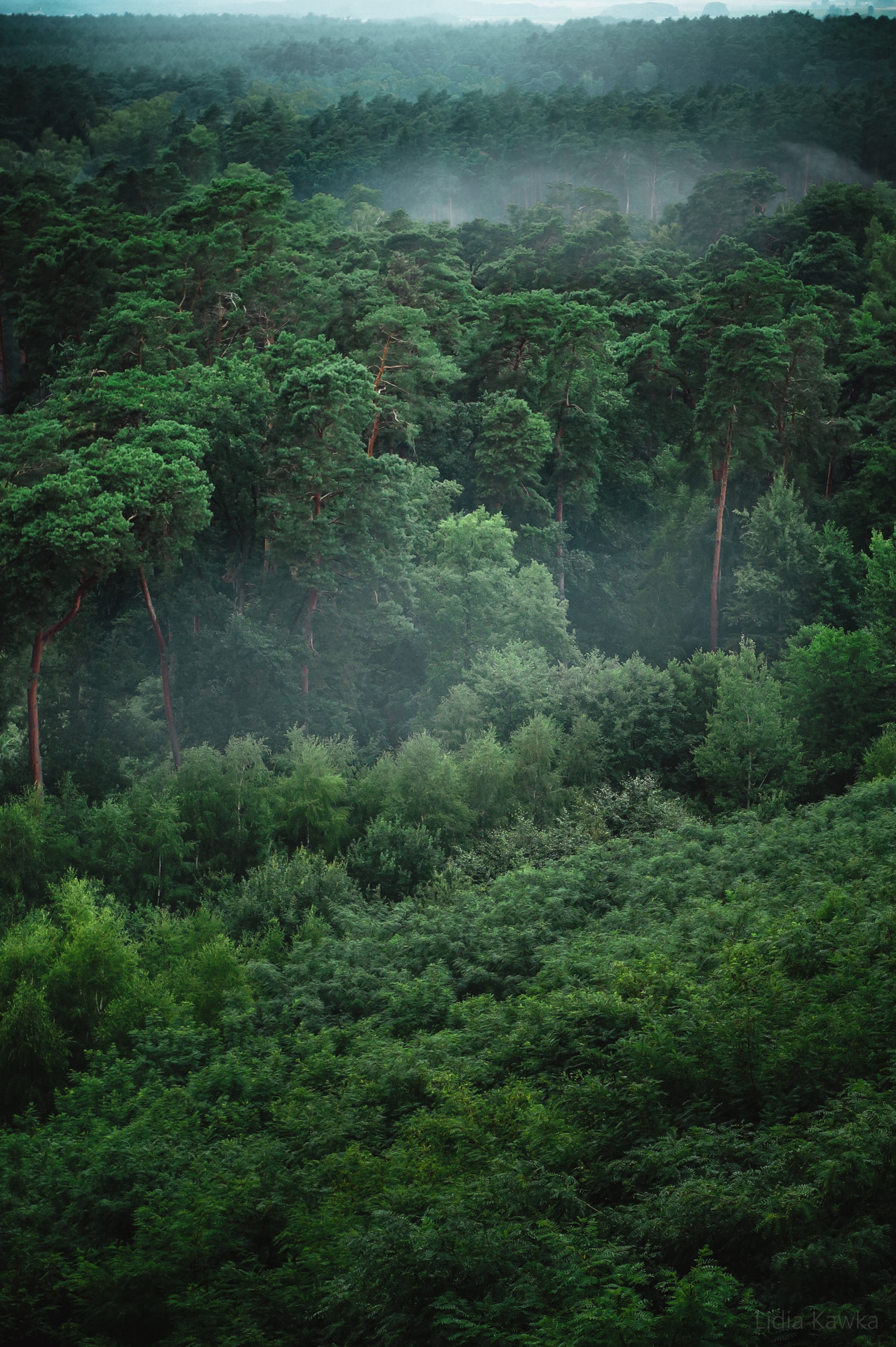 Archillect ID 375327