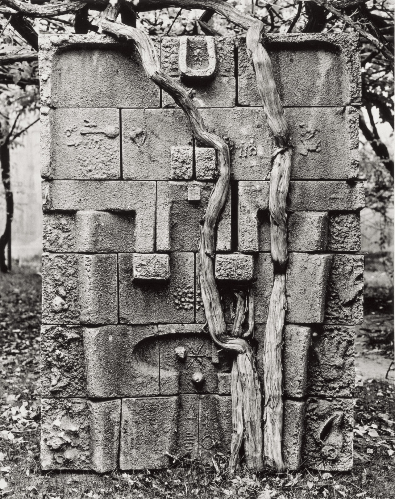 Archillect ID 375332