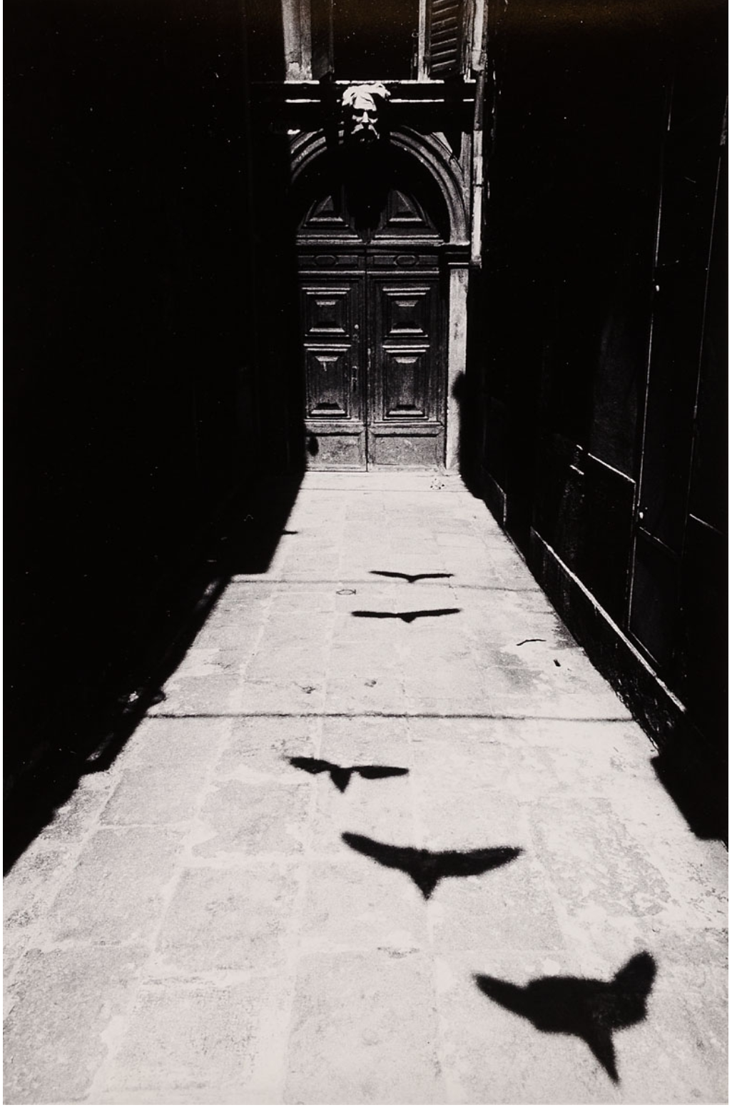 Archillect ID 375334