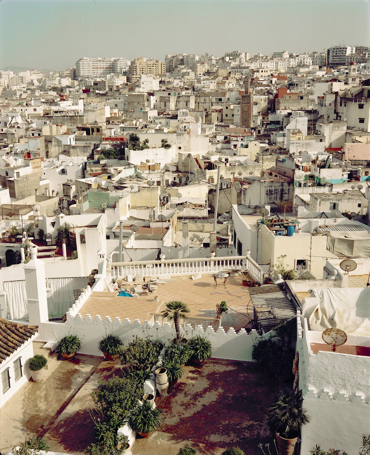 Archillect ID 375361