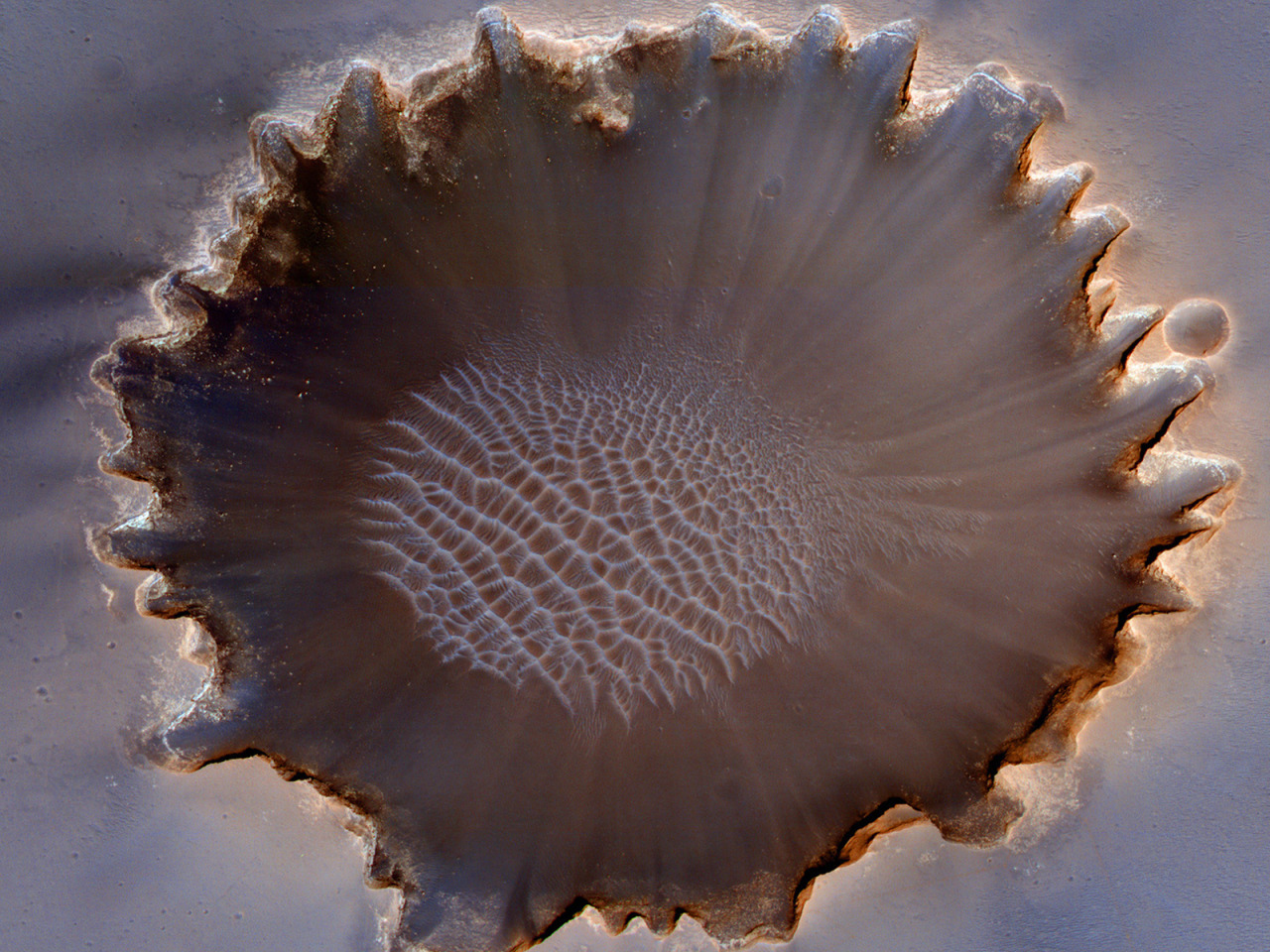 Archillect ID 375433