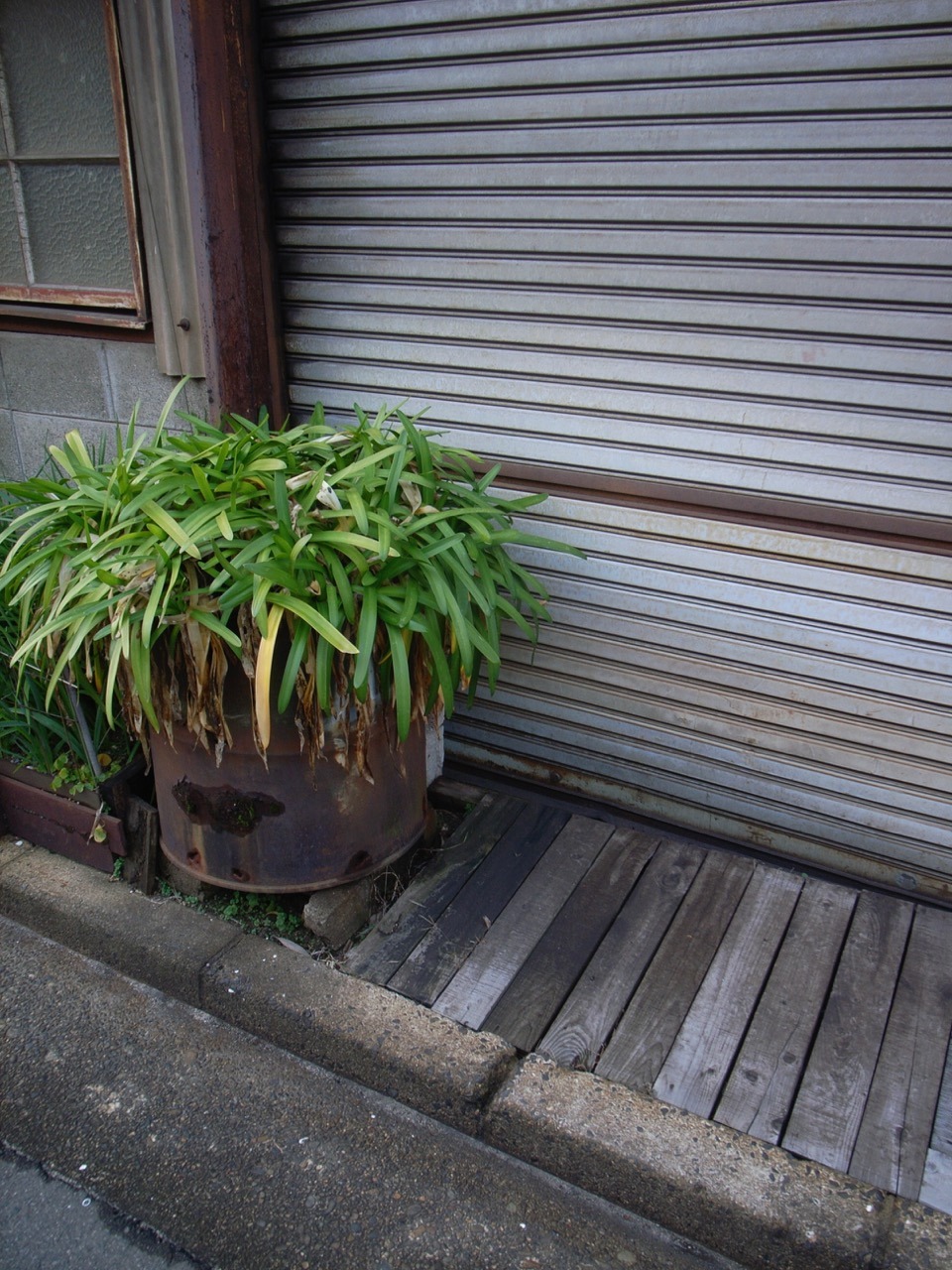 Archillect ID 375435