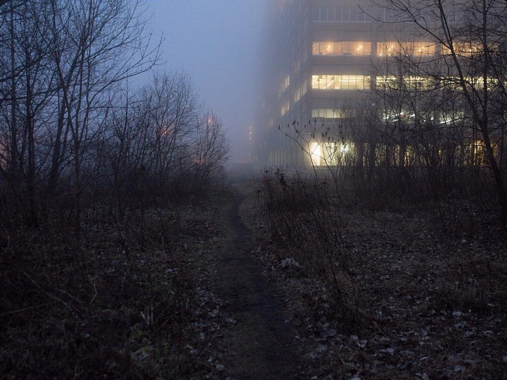 Archillect ID 375476