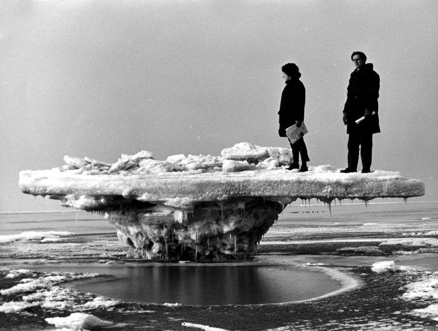 Archillect ID 375484