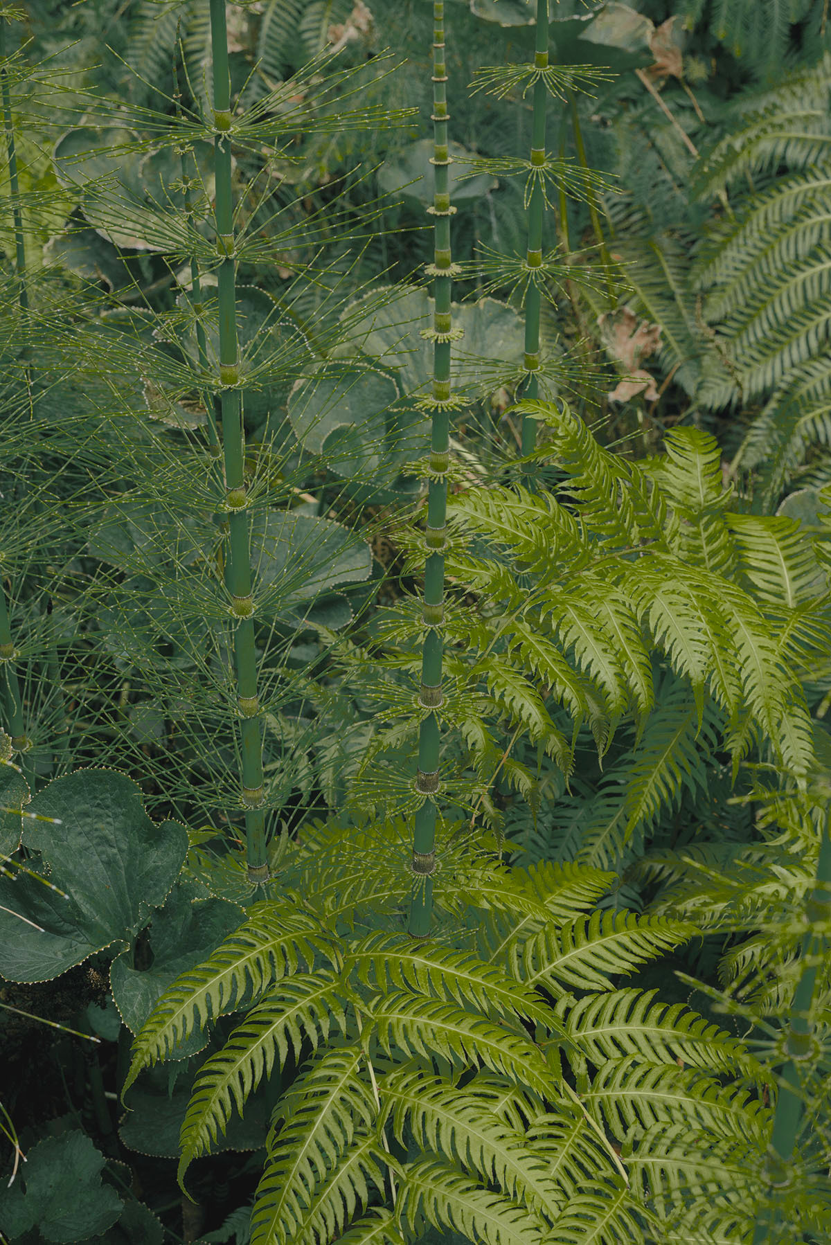 Archillect ID 375501