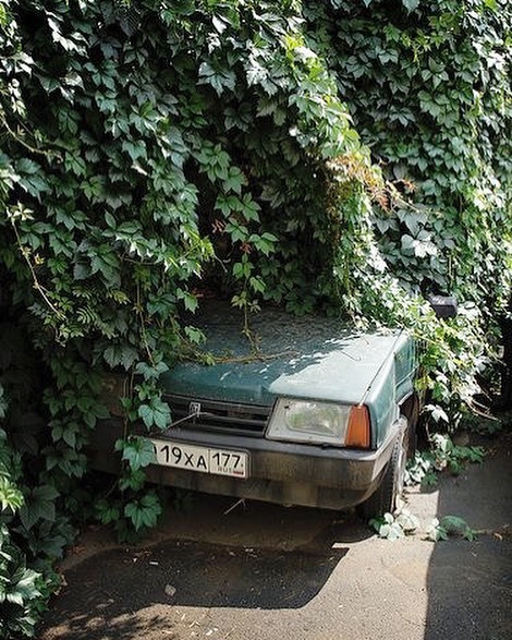 Archillect ID 375506