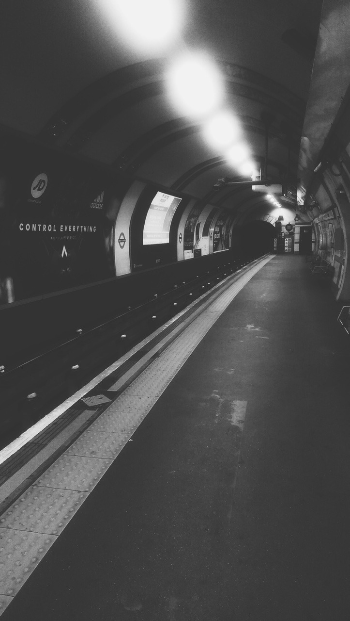 Archillect ID 375524