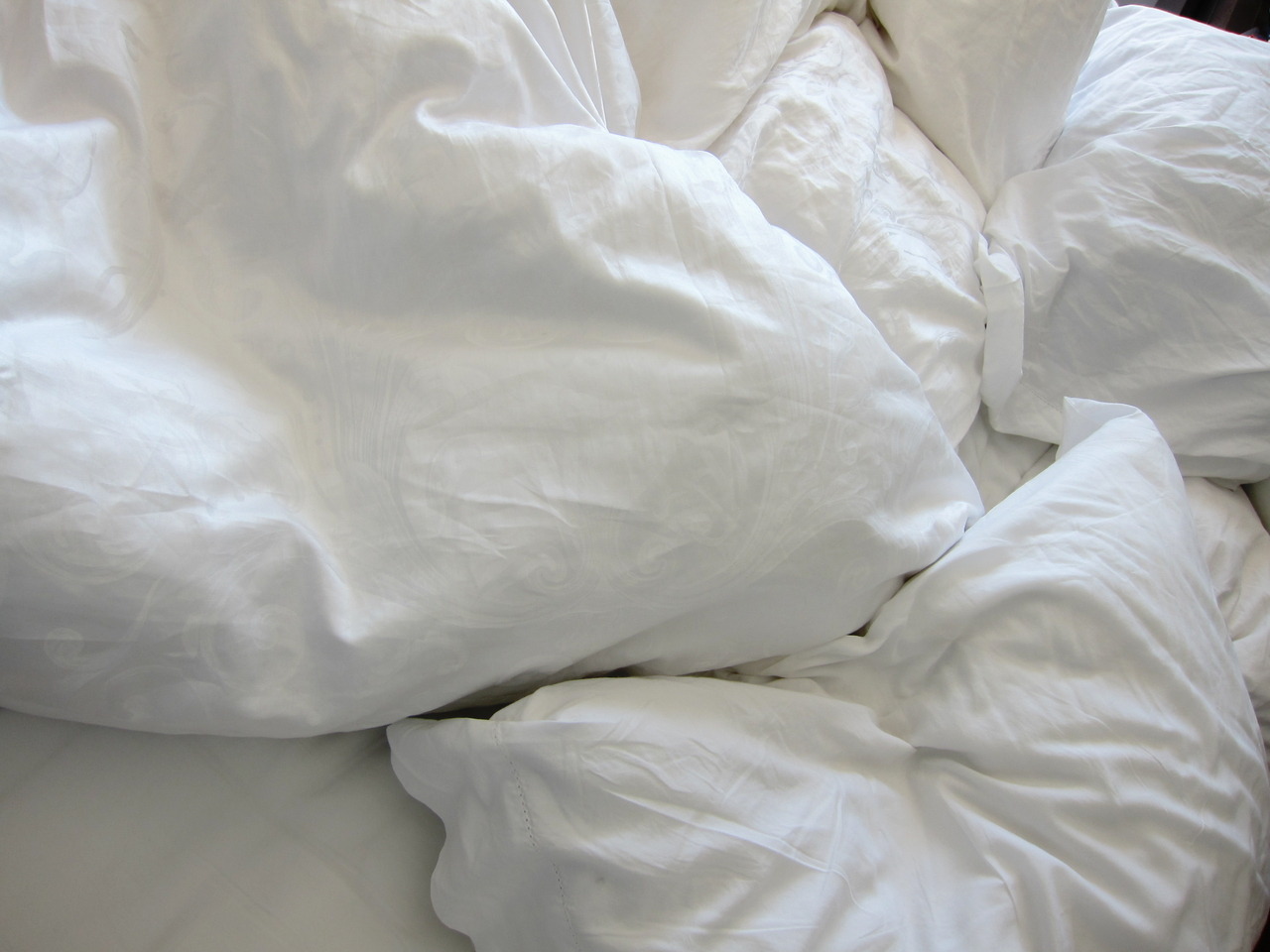 Archillect ID 375529