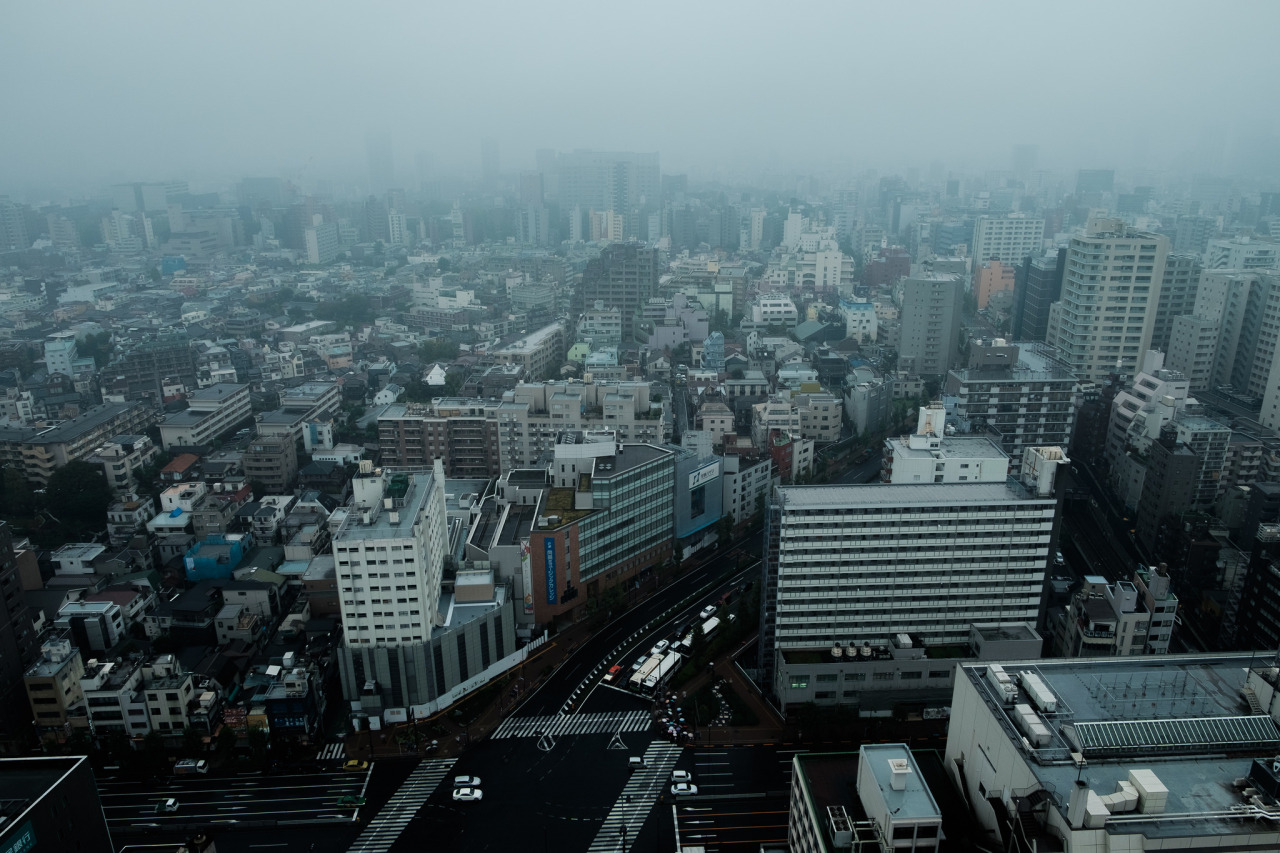 Archillect ID 375532