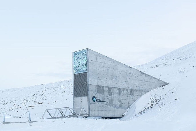 Archillect ID 375564