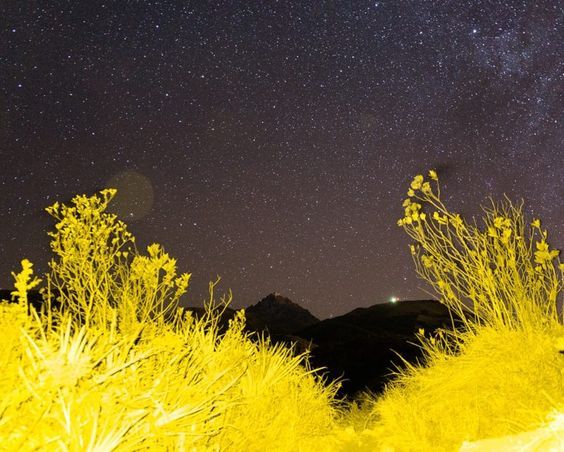 Archillect ID 375574