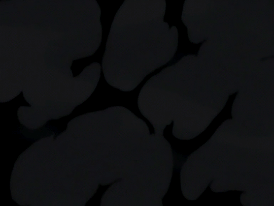 Archillect ID 375582