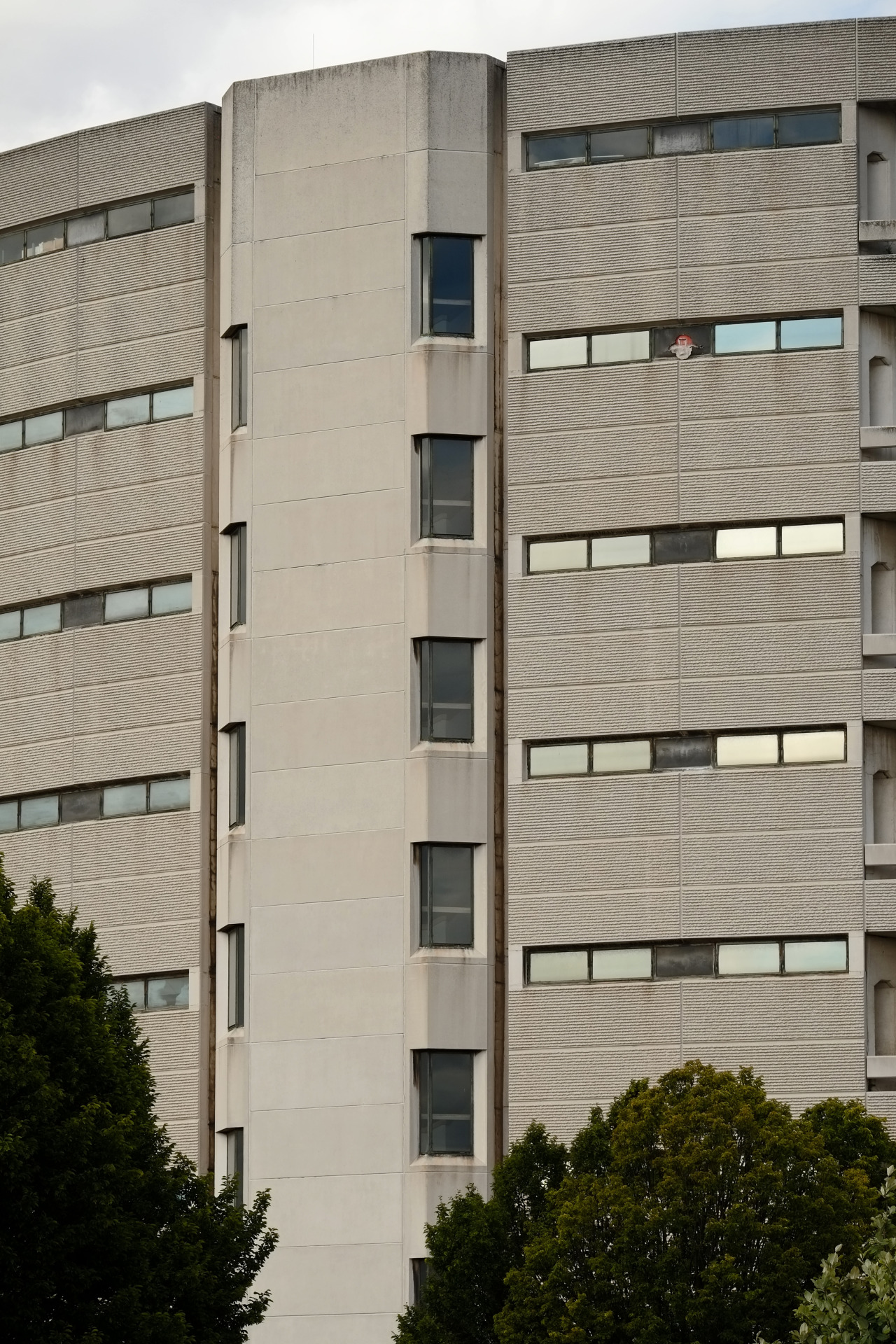 Archillect ID 375592