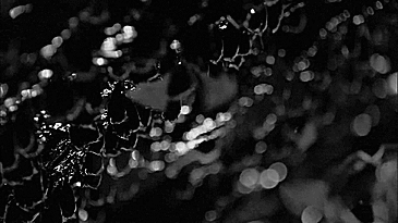 Archillect ID 375608