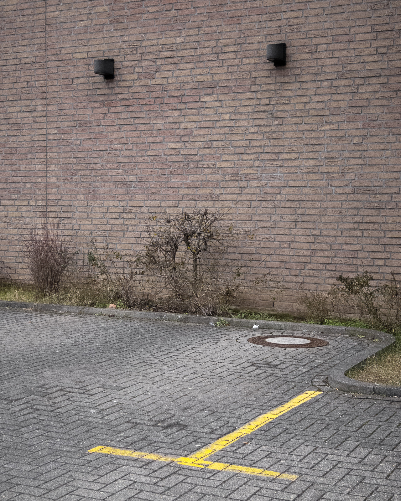 Archillect ID 375627