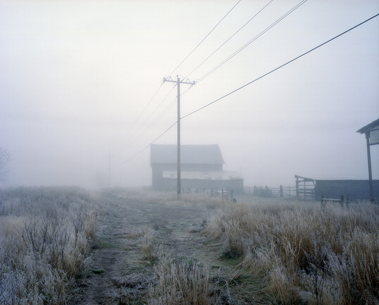 Archillect ID 375654