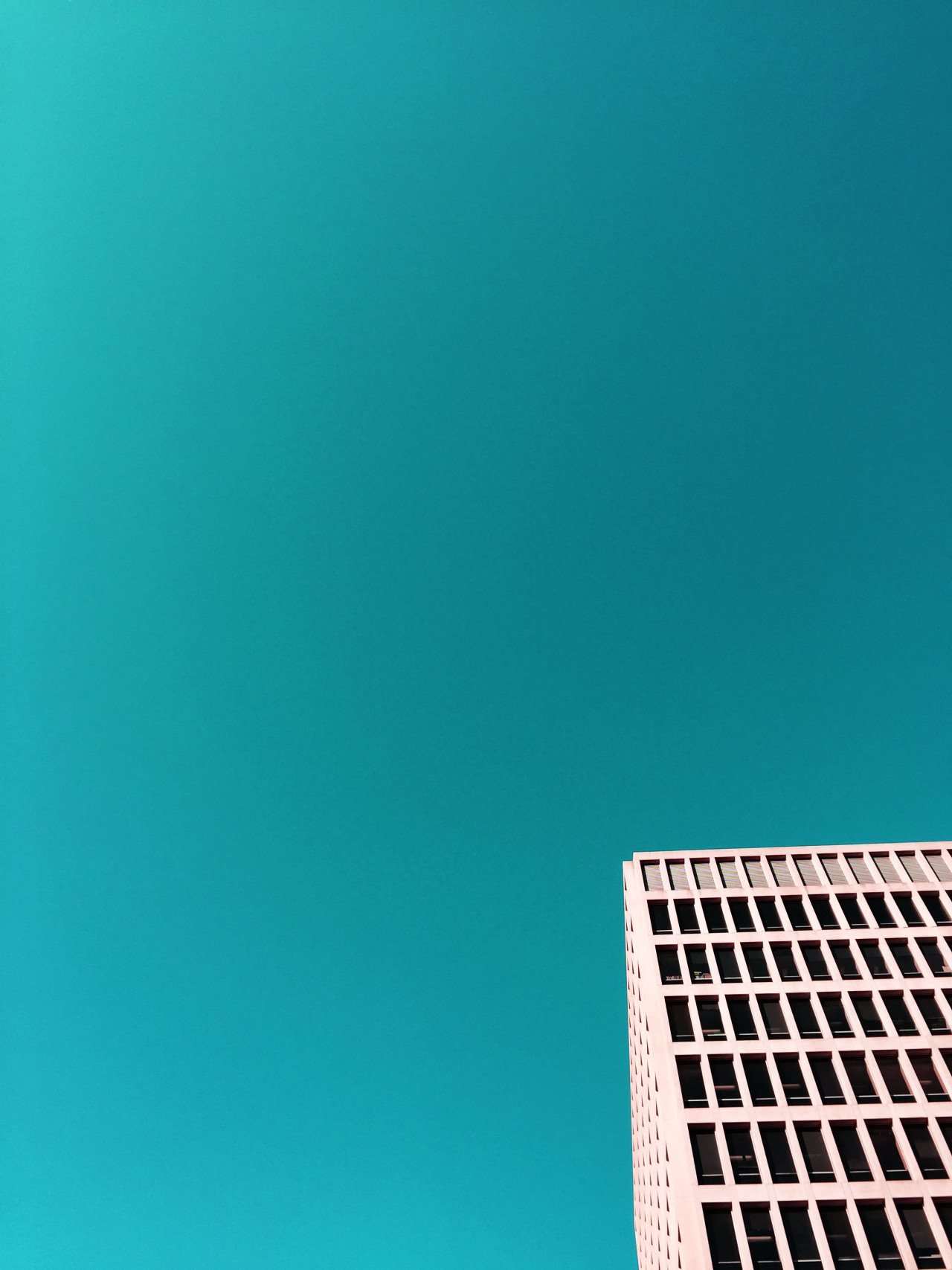 Archillect ID 375726