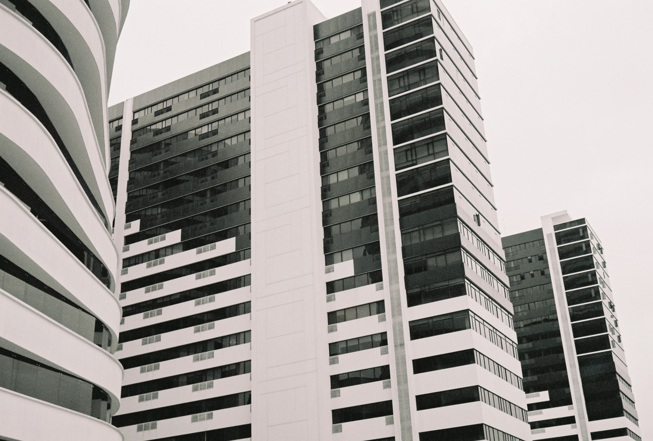 Archillect ID 375739