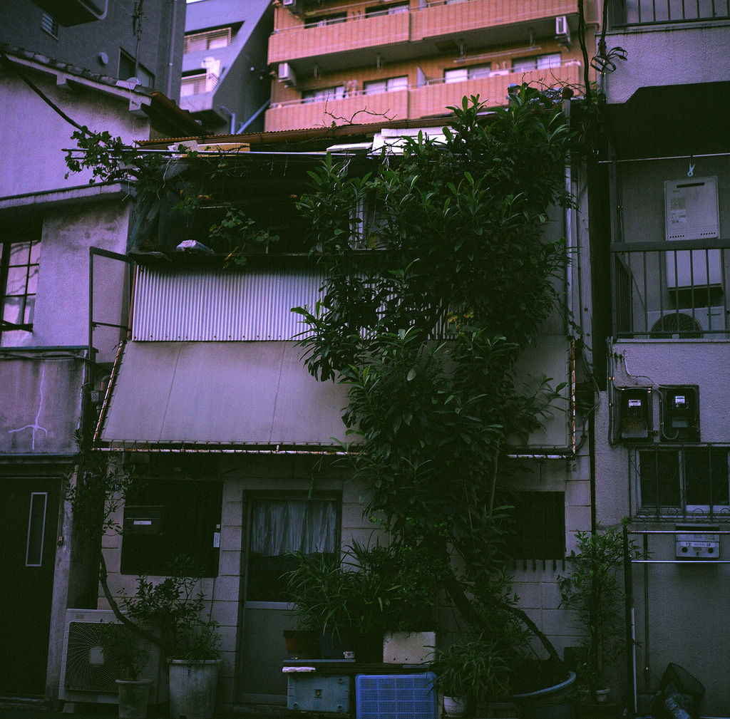 Archillect ID 375750