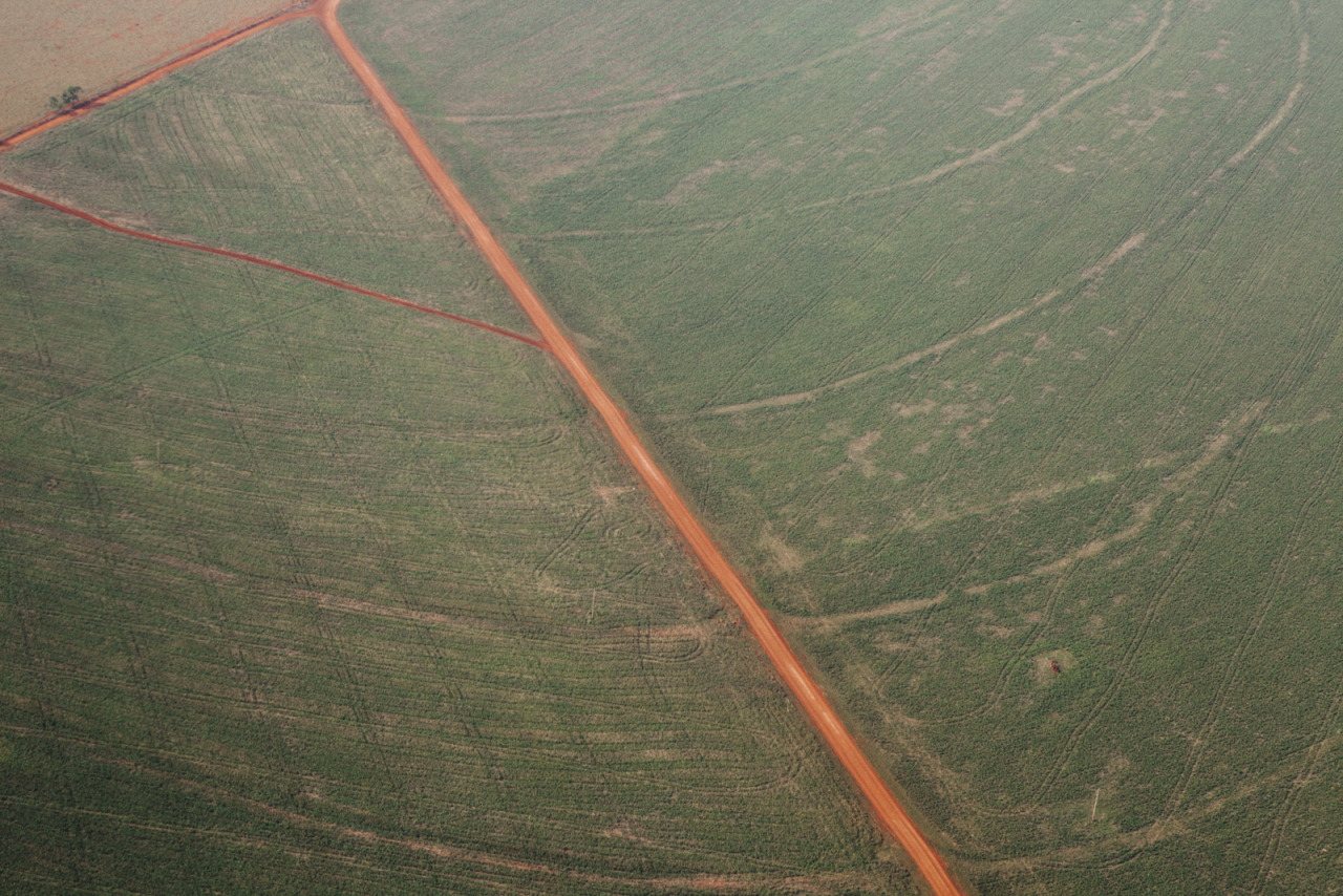 Archillect ID 375772