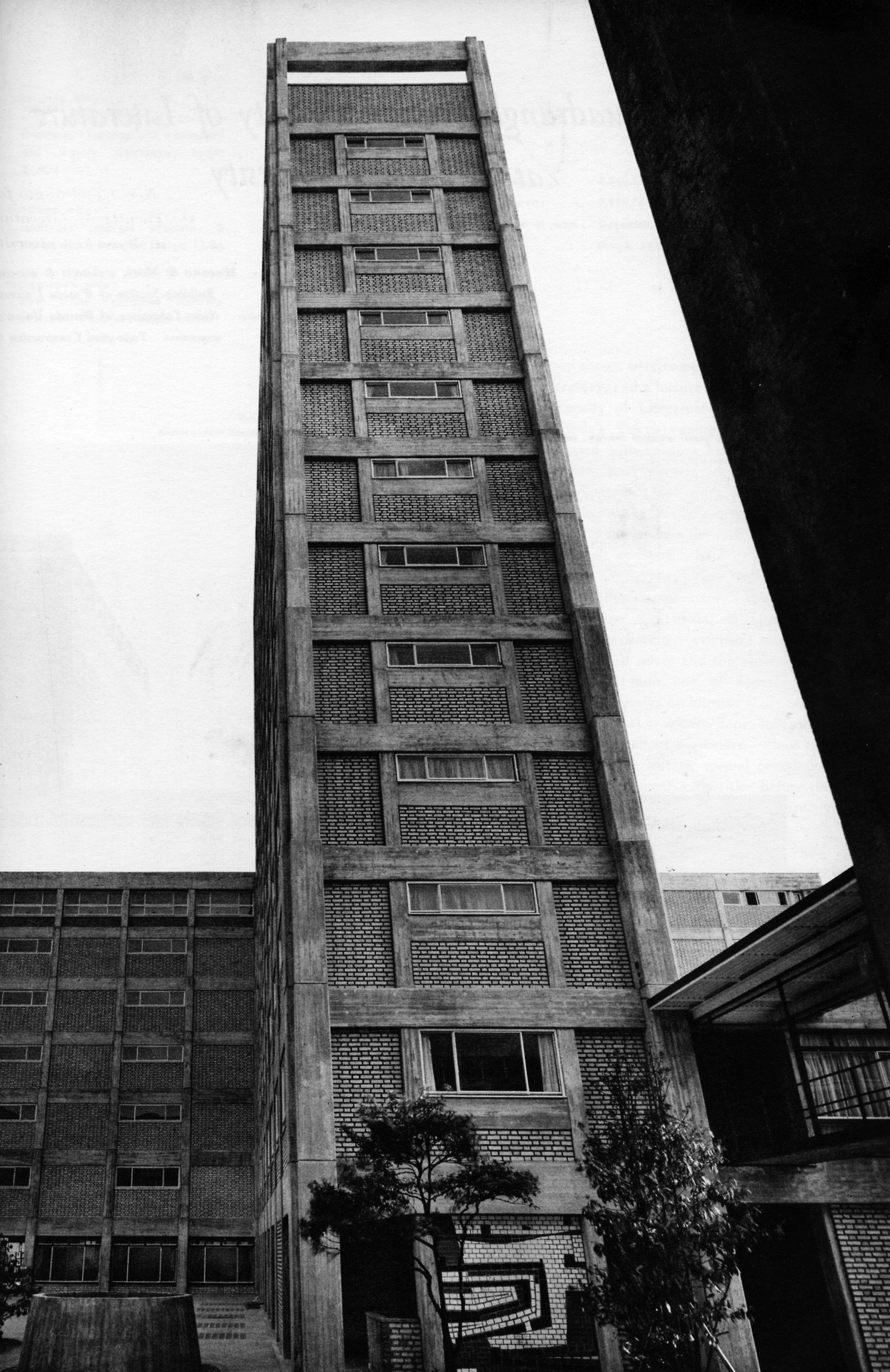 Archillect ID 375788