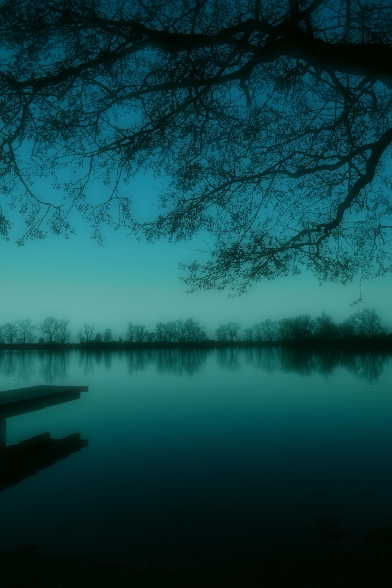 Archillect ID 375854