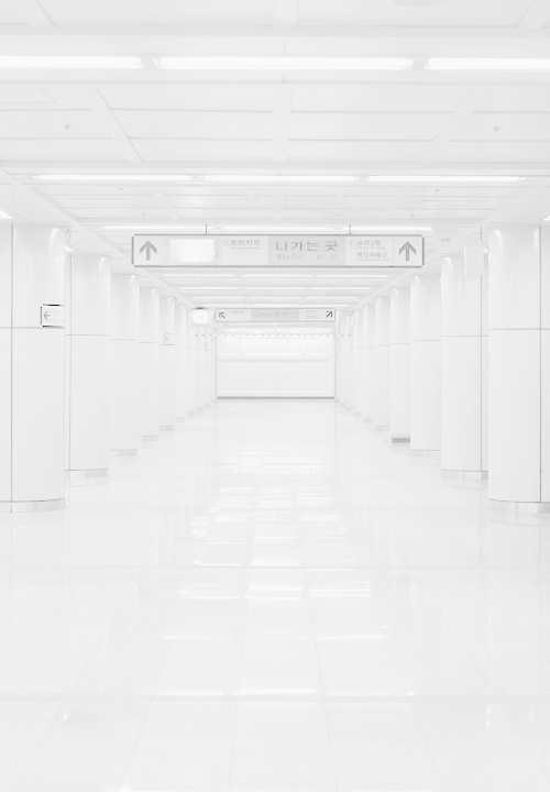 Archillect ID 375862