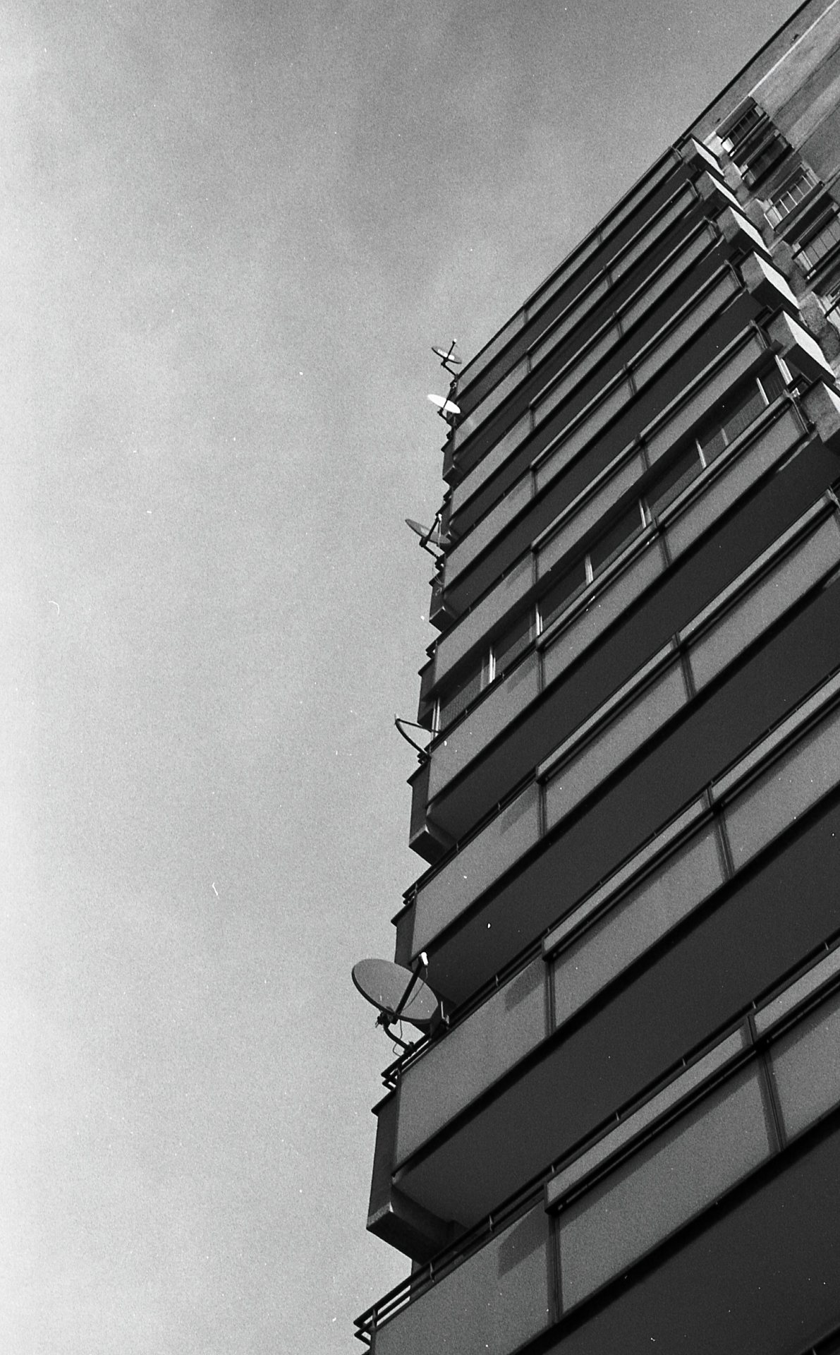 Archillect ID 375869