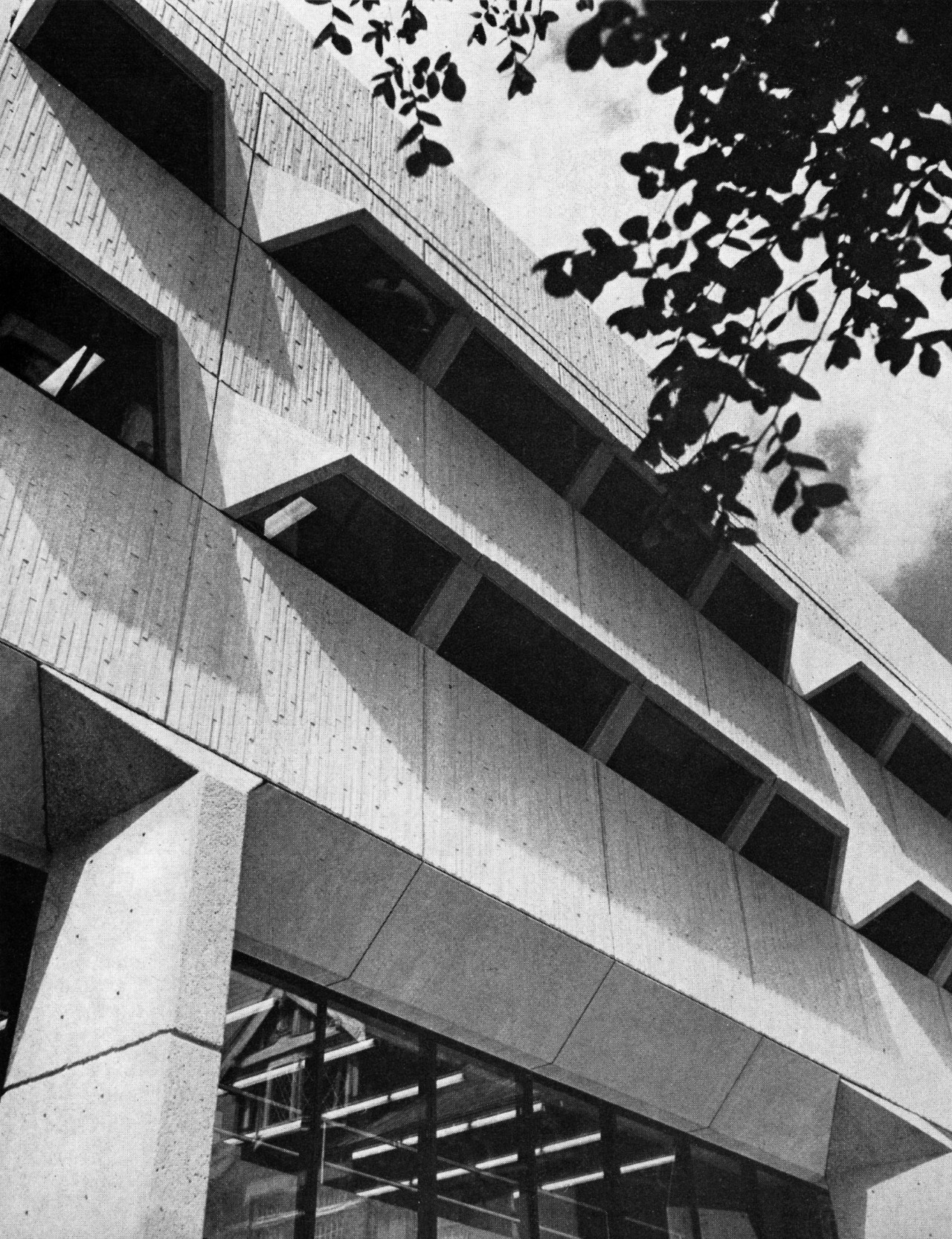 Archillect ID 375904