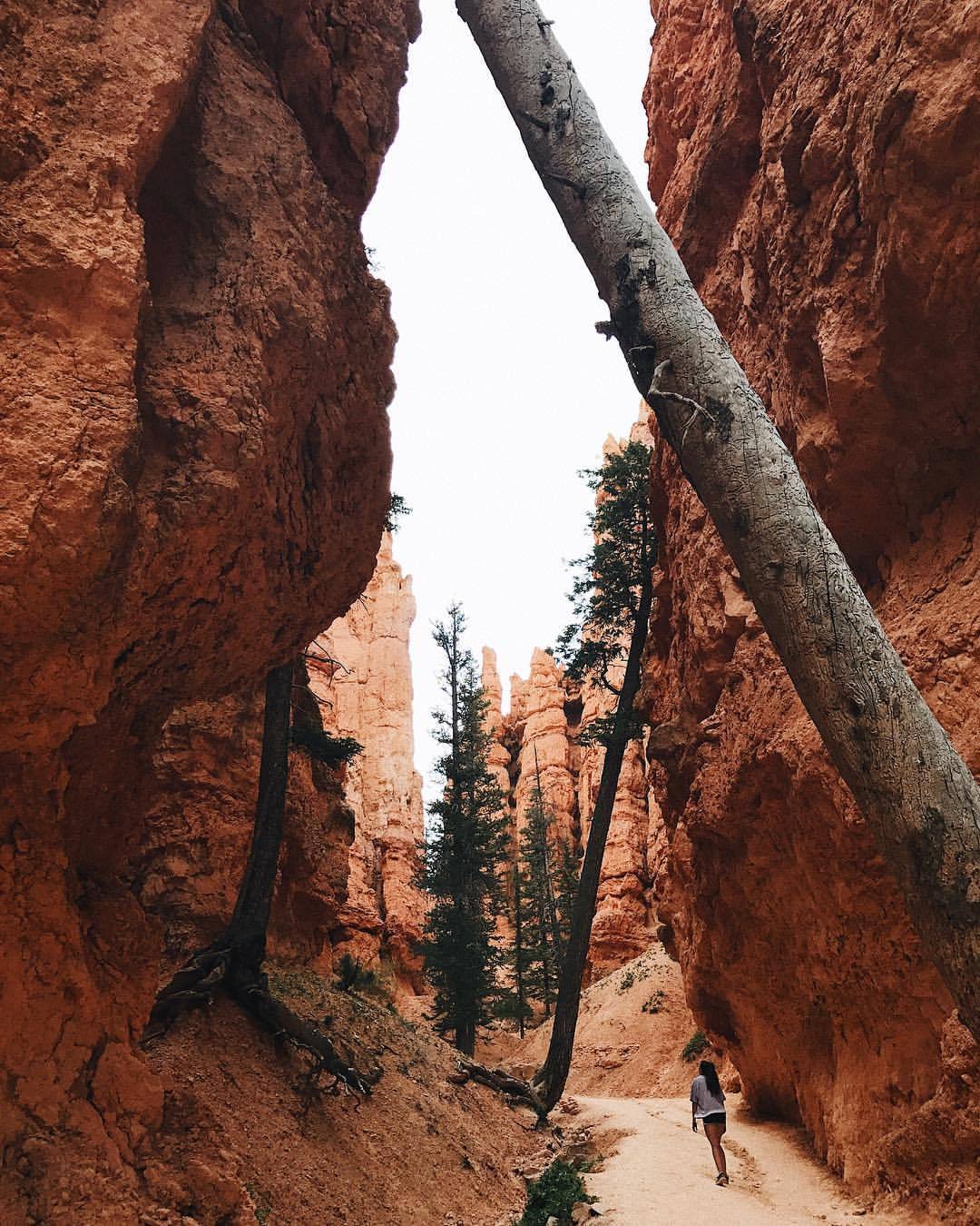 Archillect ID 375919