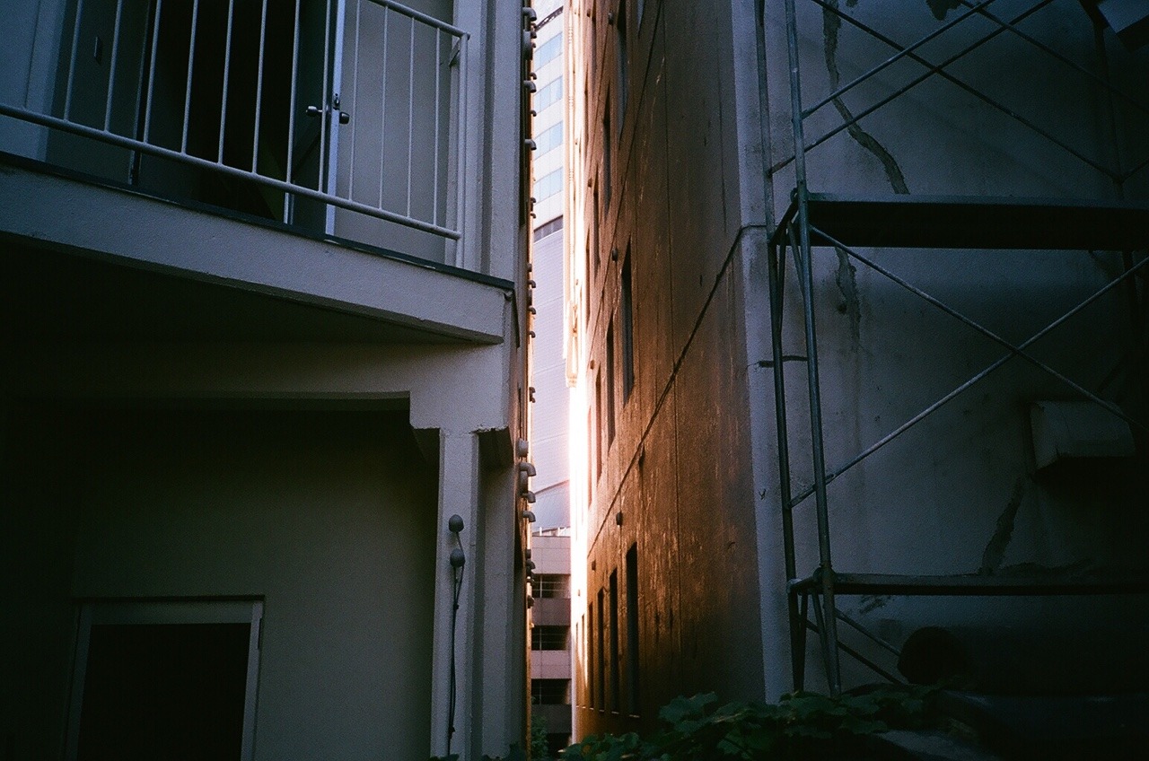 Archillect ID 375932