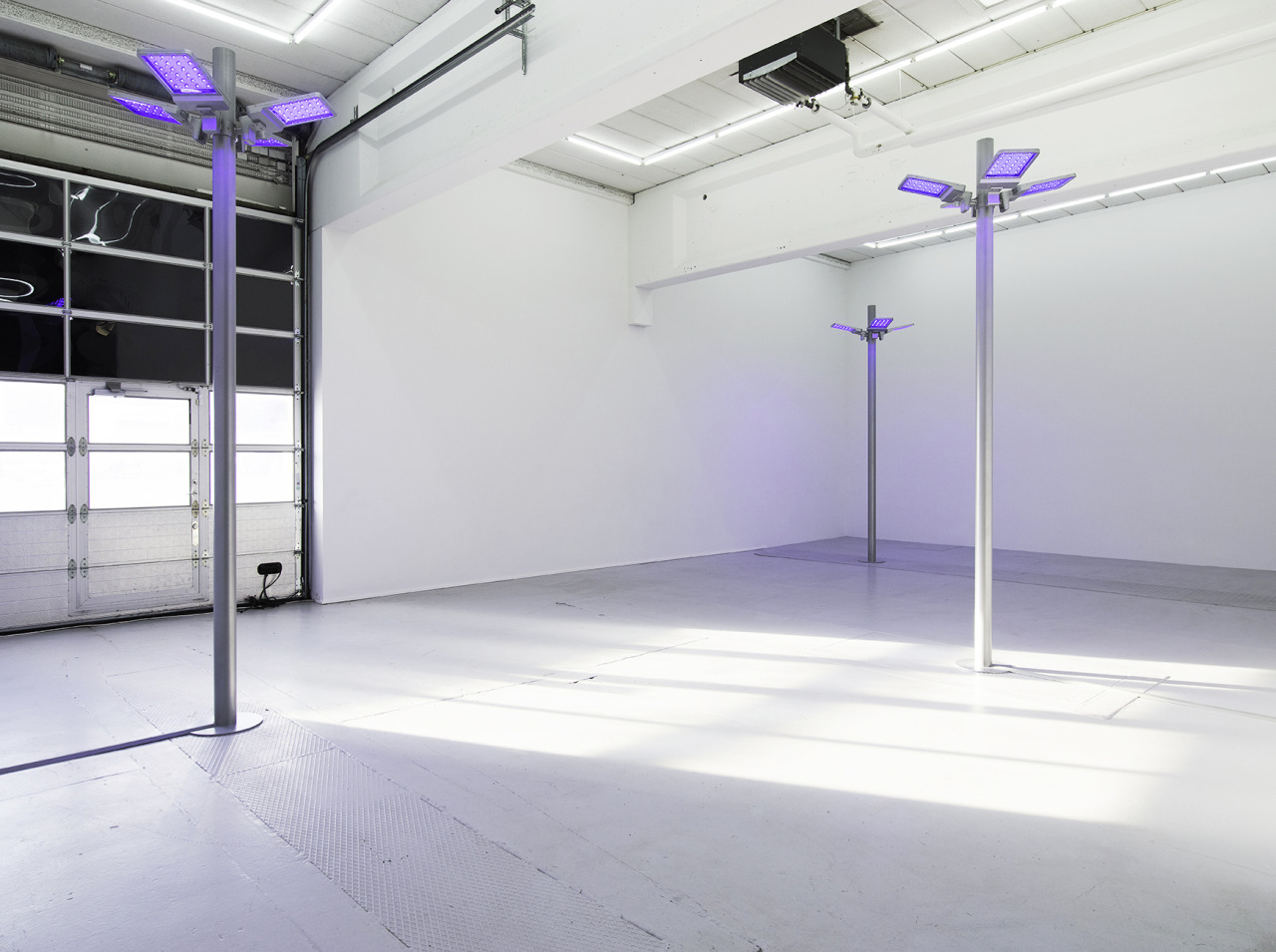 Archillect ID 375960