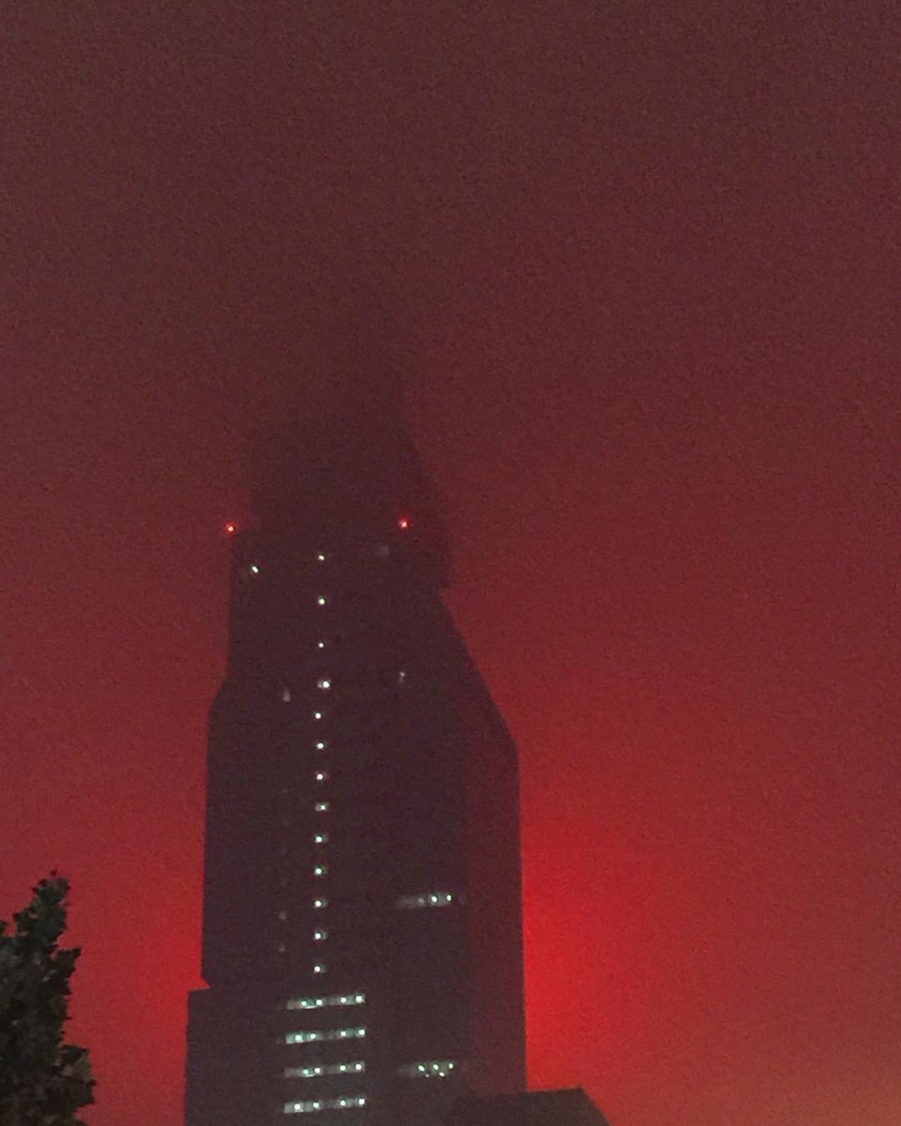 Archillect ID 375972