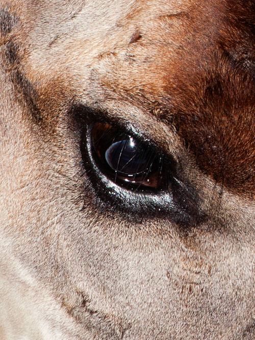 Archillect ID 375976