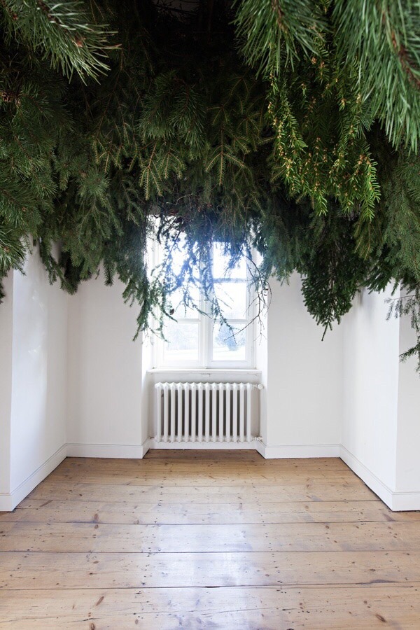 Archillect ID 375978