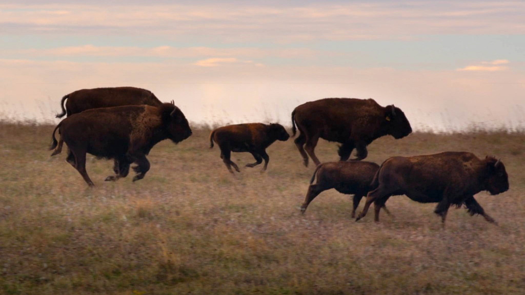 Archillect ID 375983