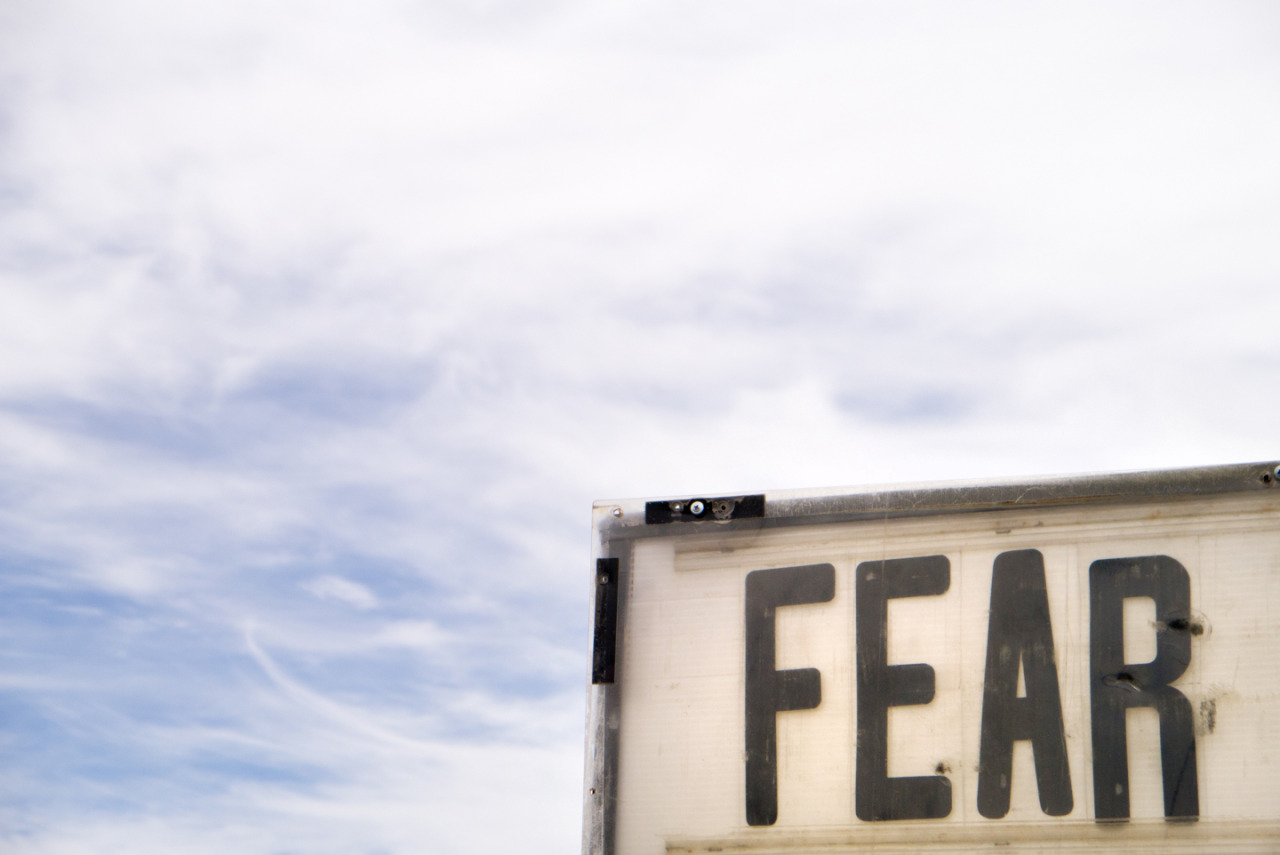 Archillect ID 375990