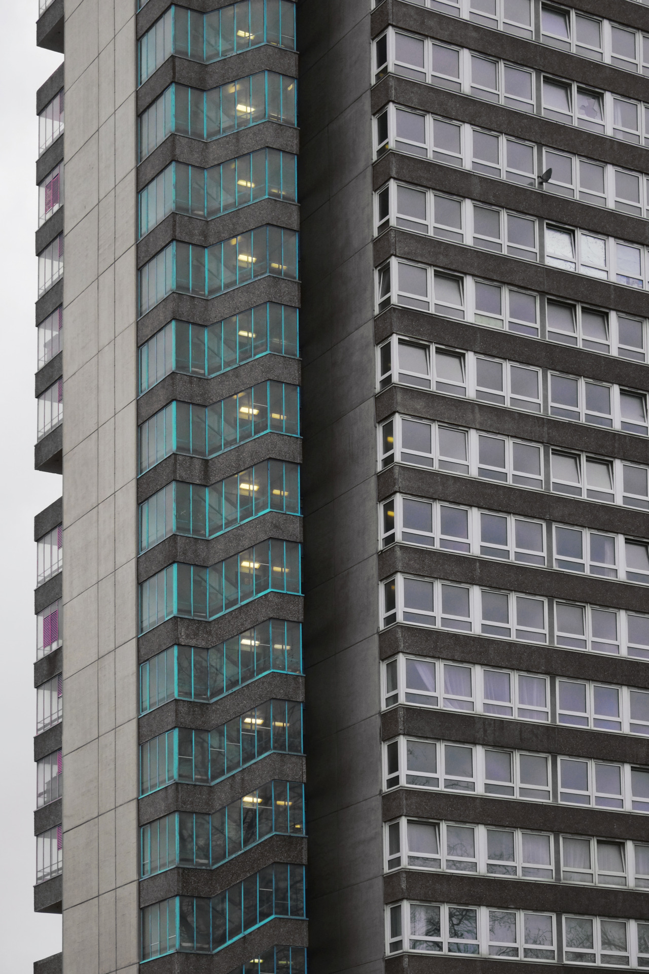 Archillect ID 375997