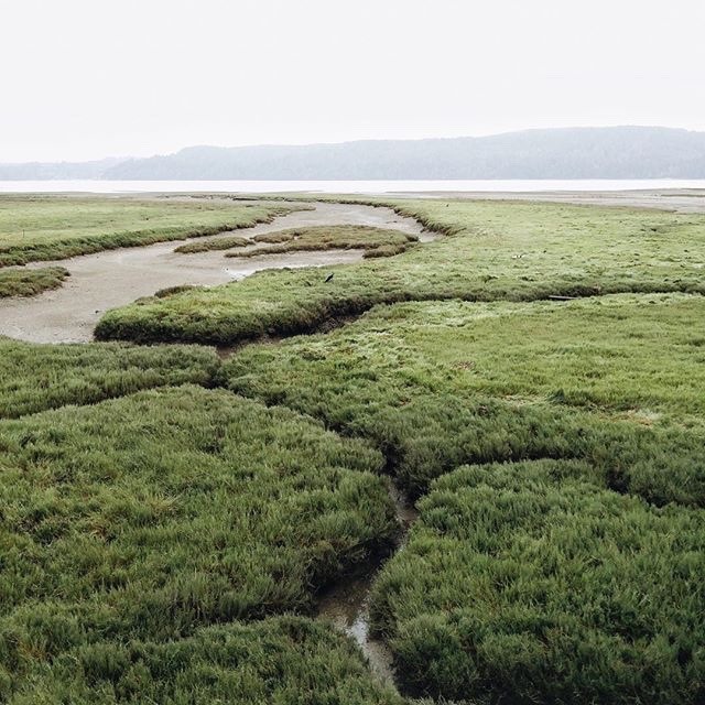 Archillect ID 376003