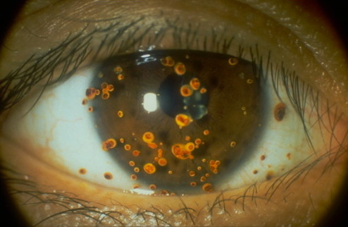 Archillect ID 376004