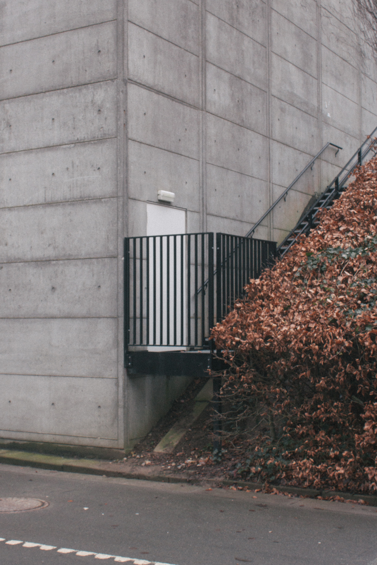 Archillect ID 376012