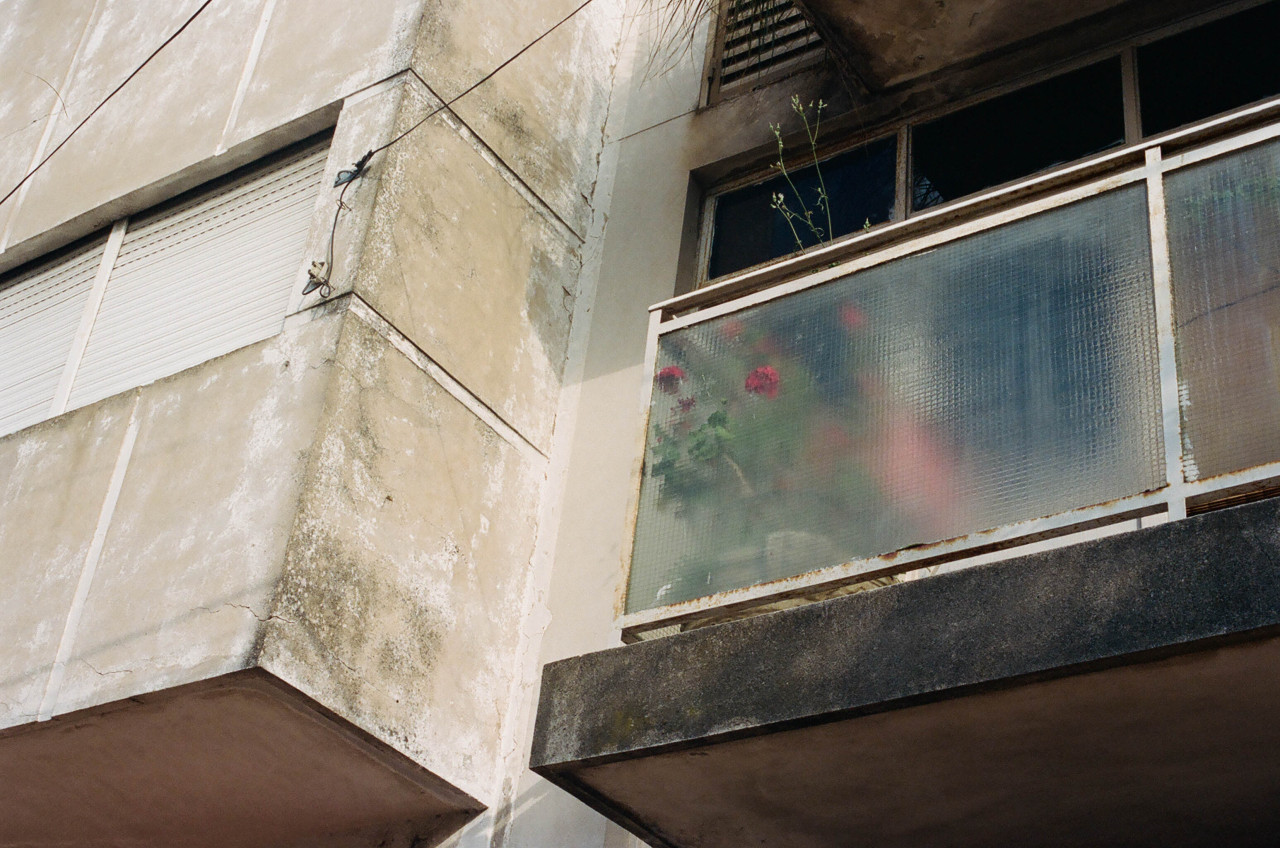 Archillect ID 376013