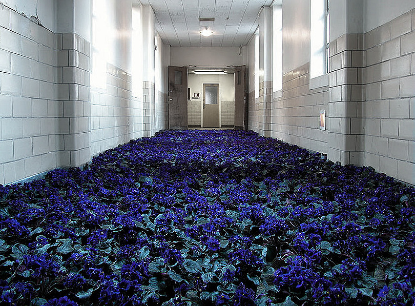 Archillect ID 376027