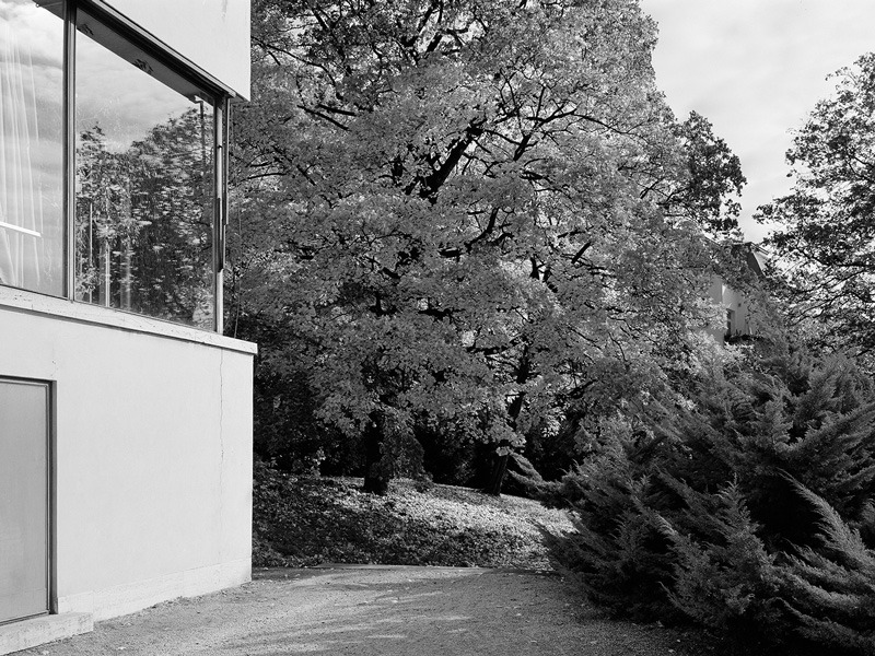 Archillect ID 376035